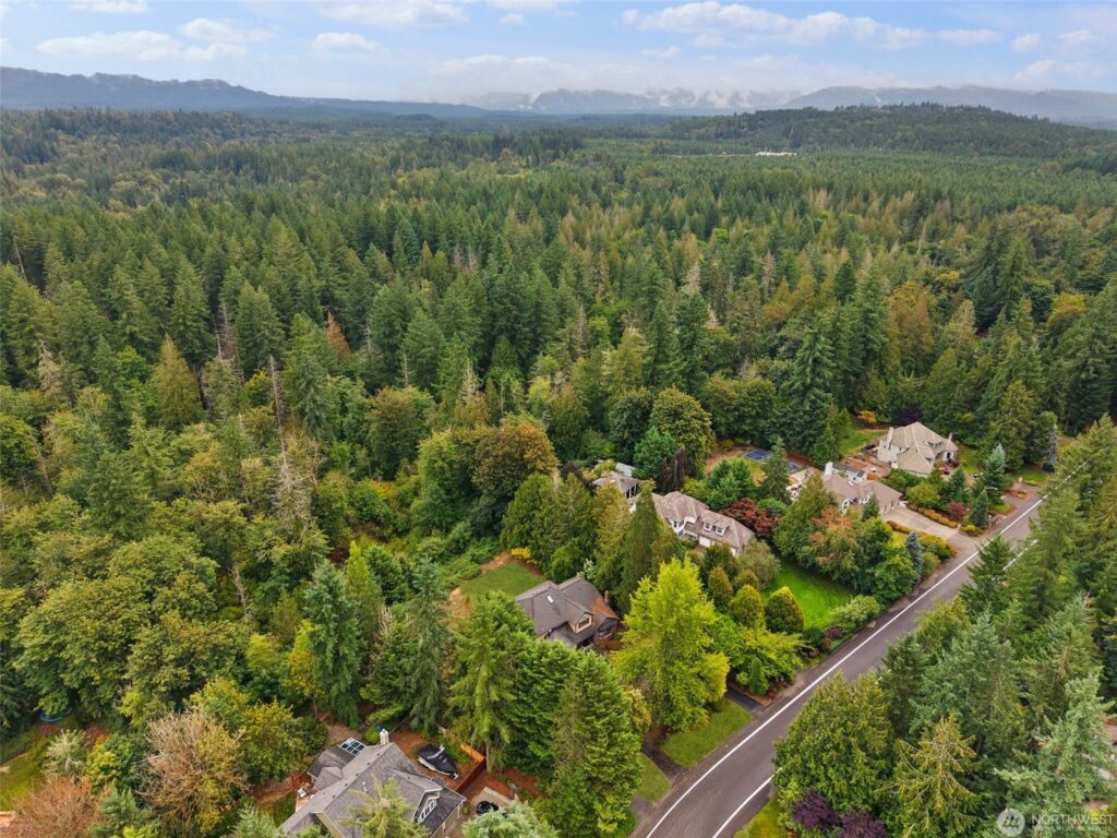 Springhaven neighborhood homes in Maple Valley